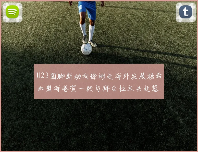 U23国脚新动向徐彬赴海外发展杨希加盟海港贺一然与拜合拉木共赴蓉城