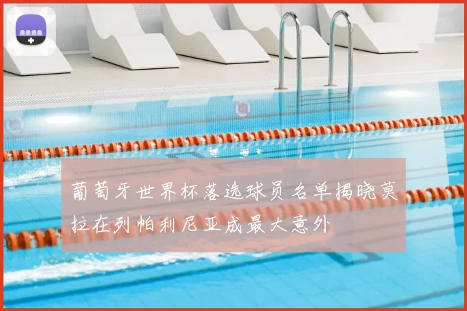 葡萄牙世界杯落选球员名单揭晓莫拉在列帕利尼亚成最大意外