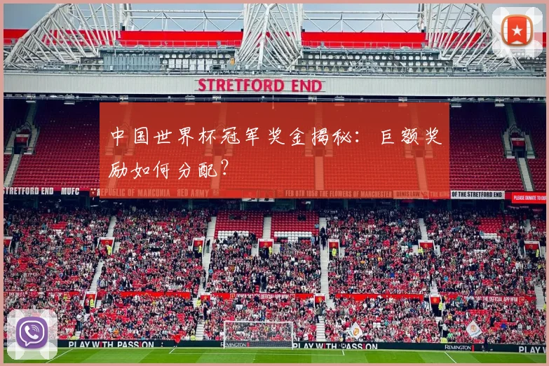 中国世界杯冠军奖金揭秘：巨额奖励如何分配？