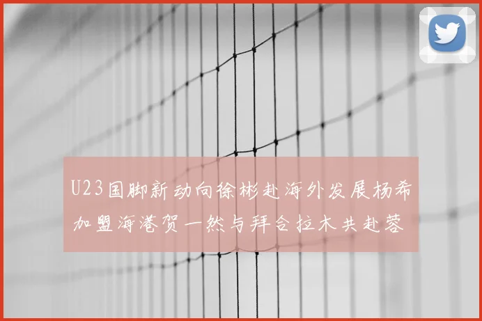 U23国脚新动向徐彬赴海外发展杨希加盟海港贺一然与拜合拉木共赴蓉城