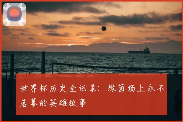 世界杯历史全记录：绿茵场上永不落幕的英雄故事