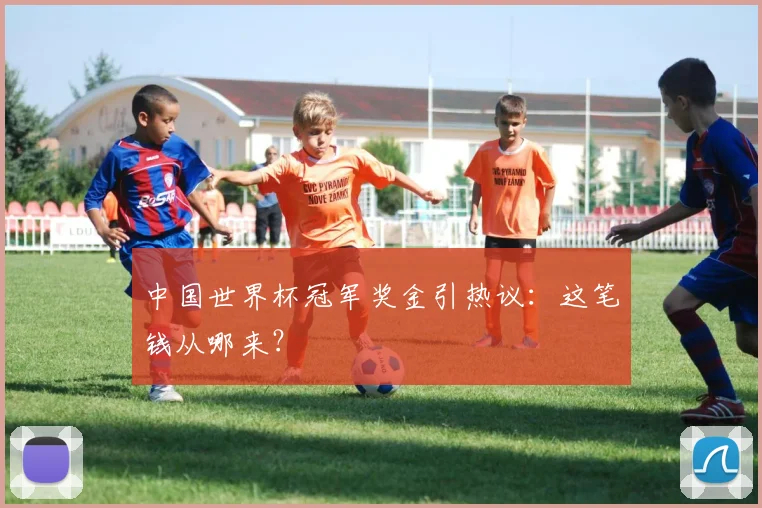 中国世界杯冠军奖金引热议：这笔钱从哪来？