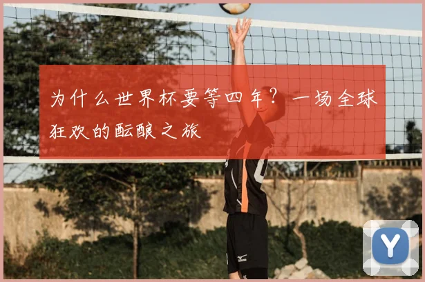 为什么世界杯要等四年？一场全球狂欢的酝酿之旅