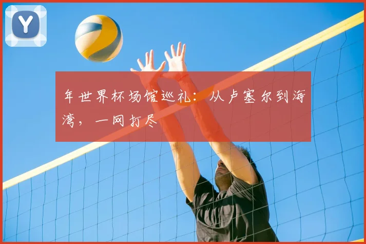 年世界杯场馆巡礼：从卢塞尔到海湾，一网打尽