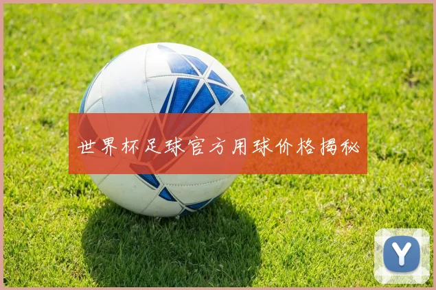 世界杯足球官方用球价格揭秘