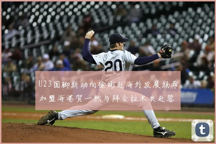U23国脚新动向徐彬赴海外发展杨希加盟海港贺一然与拜合拉木共赴蓉城