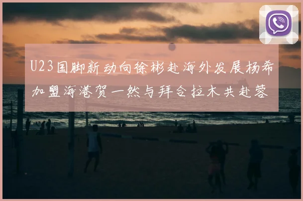 U23国脚新动向徐彬赴海外发展杨希加盟海港贺一然与拜合拉木共赴蓉城