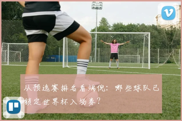 从预选赛排名看端倪：哪些球队已锁定世界杯入场券？