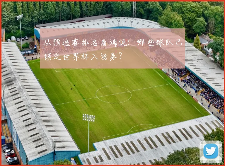 从预选赛排名看端倪：哪些球队已锁定世界杯入场券？