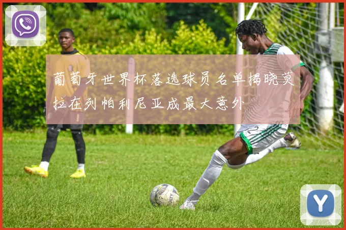 葡萄牙世界杯落选球员名单揭晓莫拉在列帕利尼亚成最大意外