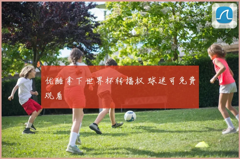 优酷拿下世界杯转播权 球迷可免费观看