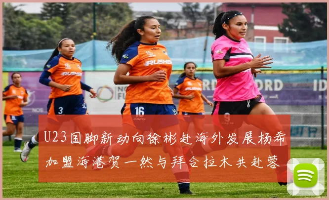 U23国脚新动向徐彬赴海外发展杨希加盟海港贺一然与拜合拉木共赴蓉城