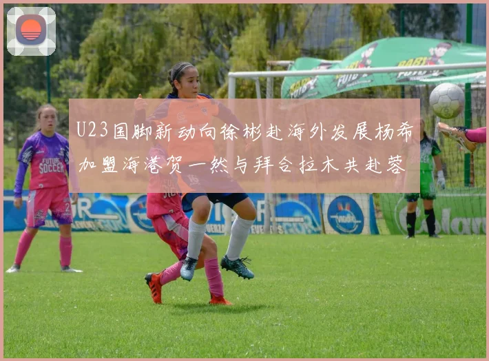 U23国脚新动向徐彬赴海外发展杨希加盟海港贺一然与拜合拉木共赴蓉城
