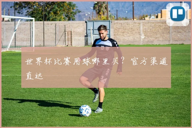 世界杯比赛用球哪里买？官方渠道直达