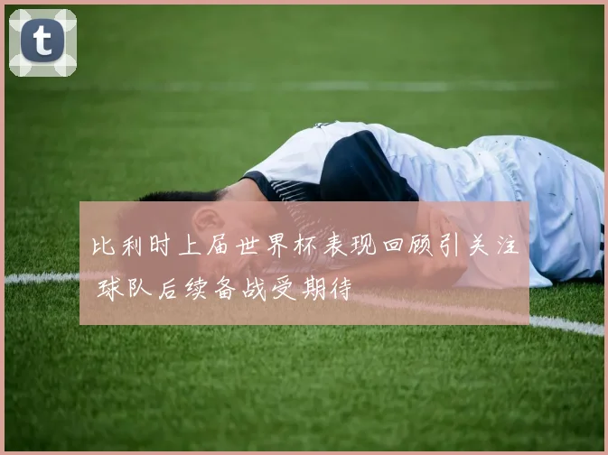 比利时上届世界杯表现回顾引关注 球队后续备战受期待