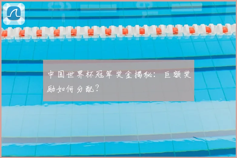 中国世界杯冠军奖金揭秘：巨额奖励如何分配？