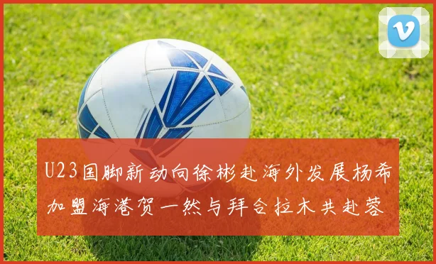 U23国脚新动向徐彬赴海外发展杨希加盟海港贺一然与拜合拉木共赴蓉城