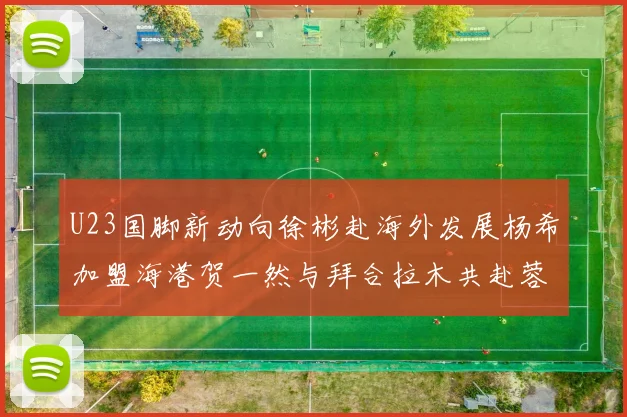 U23国脚新动向徐彬赴海外发展杨希加盟海港贺一然与拜合拉木共赴蓉城