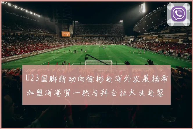 U23国脚新动向徐彬赴海外发展杨希加盟海港贺一然与拜合拉木共赴蓉城
